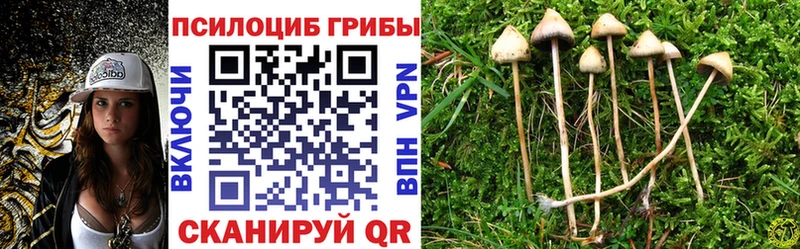 Галлюциногенные грибы GOLDEN TEACHER  Купить где  Подпорожье 